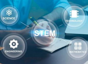 重慶引序科技 專業(yè)網(wǎng)站建設(shè)與網(wǎng)絡(luò)技術(shù)服務(wù)領(lǐng)航者